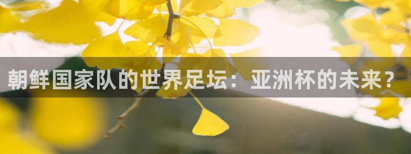 世界杯预选赛赛程时间表：朝鲜国家队的世界足坛：亚洲杯的未来？