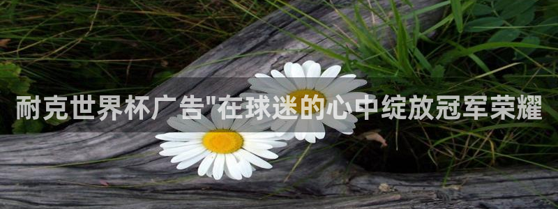 2026世界杯赛程表完整版：耐克世界杯广告\