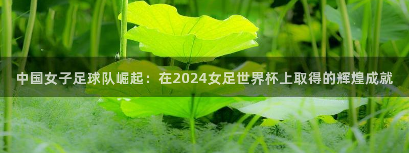2026世界杯中国队：中国女子足球队崛起：在2024女足世界杯上取得的辉煌成就