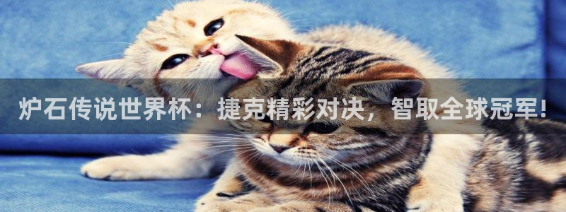 世预赛欧洲赛程表：炉石传说世界杯：捷克精彩对决，智取全球冠军!