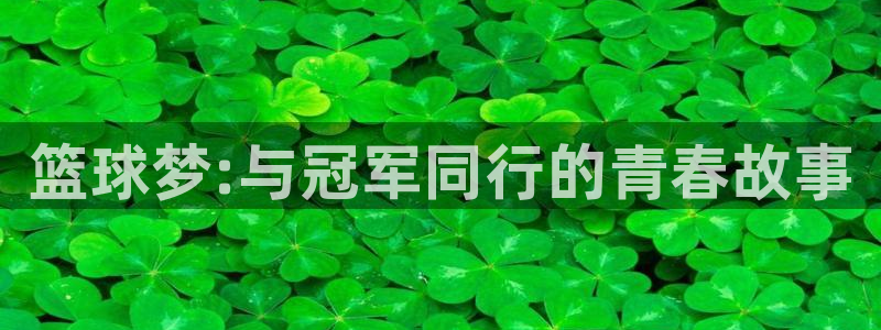 世界杯直播免费观看：篮球梦:与冠军同行的青春故事