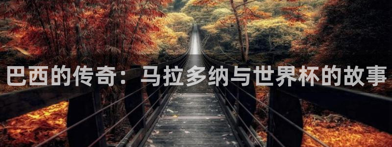 世界杯决赛圈球队：巴西的传奇：马拉多纳与世界杯的故事