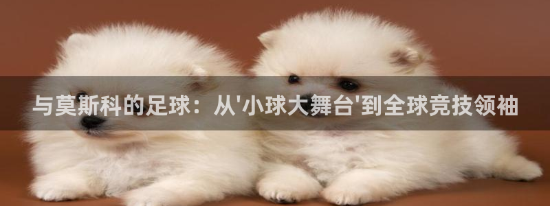 2026世界杯亚洲预选赛赛程：与莫斯科的足球：从\'小球大舞台\'到全球竞技领袖