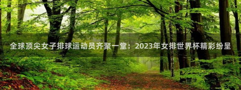 今天所有足球赛程表：全球顶尖女子排球运动员齐聚一堂：2023年女排世界杯精彩纷呈