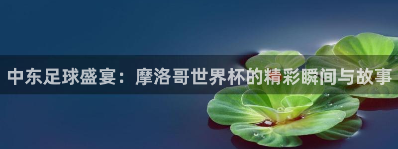 法国杯2026赛程表：中东足球盛宴：摩洛哥世界杯的精彩瞬间与故事