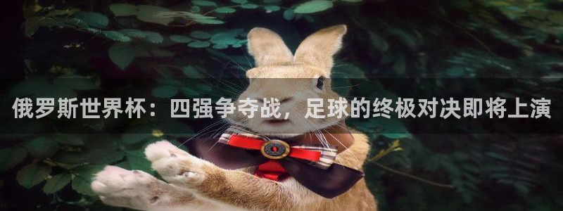 2026世界杯预选赛：俄罗斯世界杯：四强争夺战，足球的终极对决即将上演