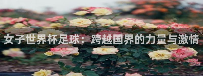 澳门世界杯直播：女子世界杯足球：跨越国界的力量与激情